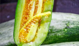 网红吃瓜爆料平台有哪些,揭秘娱乐圈幕后真相