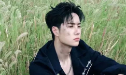 吃瓜爆料王一博杨洋,娱乐圈的甜蜜邂逅